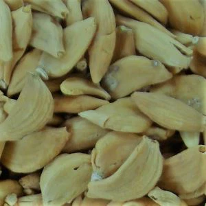 Bawang Putih Organik Jinxiang Memenangkan Penghargaan Lain