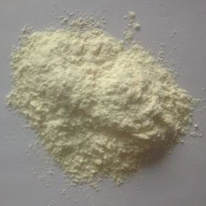 Bubuk Bawang Putih Organik